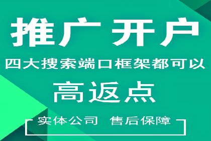 SEM代运营成功案例：打造行业领先品牌